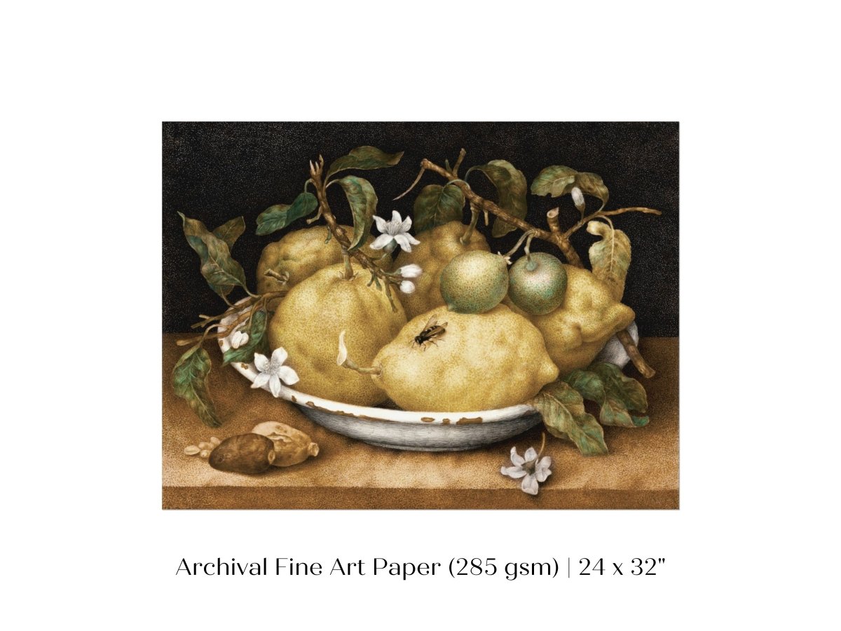 Still Life with Lemons and Limes | P400 - Single Art Prints - Piccolo Fiore Prints