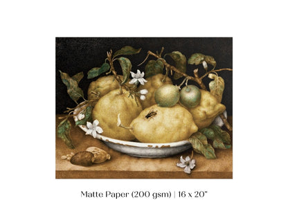Still Life with Lemons and Limes | P400 - Single Art Prints - Piccolo Fiore Prints