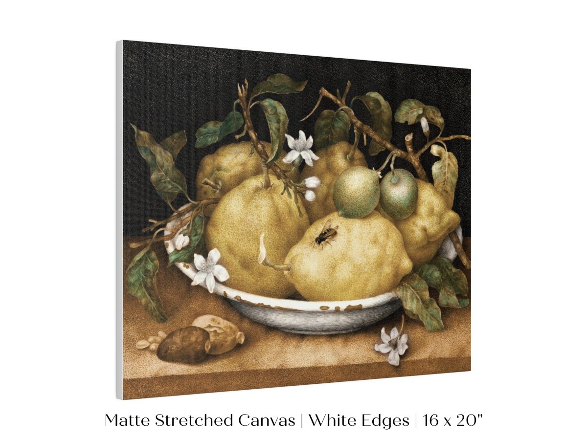 Still Life with Lemons and Limes | P400 - Single Art Prints - Piccolo Fiore Prints