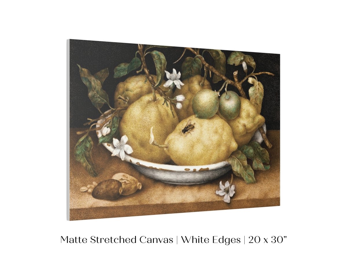 Still Life with Lemons and Limes | P400 - Single Art Prints - Piccolo Fiore Prints