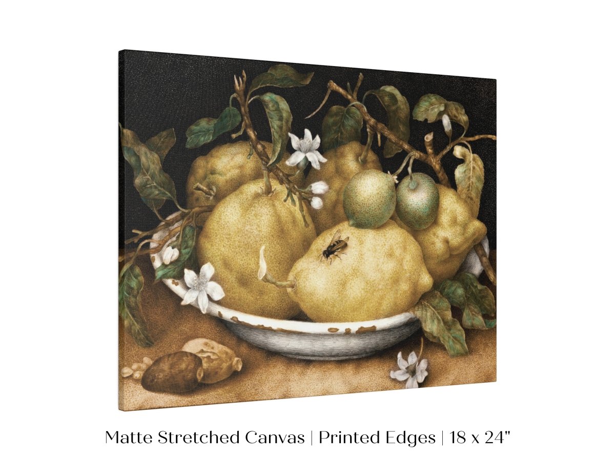 Still Life with Lemons and Limes | P400 - Single Art Prints - Piccolo Fiore Prints