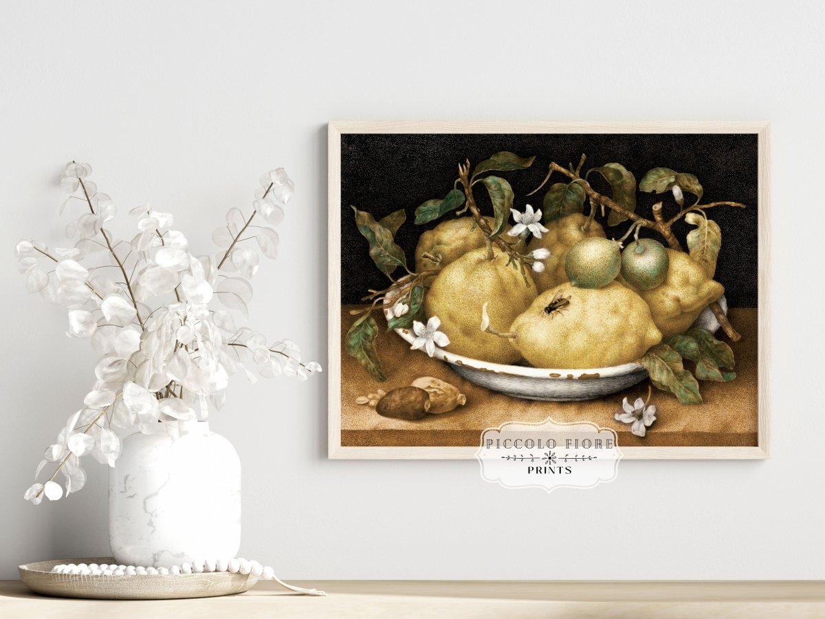 Still Life with Lemons and Limes | P400 - Single Art Prints - Piccolo Fiore Prints