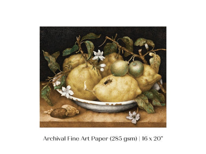 Still Life with Lemons and Limes | P400 - Single Art Prints - Piccolo Fiore Prints
