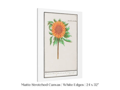 Sunflower Illustration | P364 - Single Art Prints - Piccolo Fiore Prints