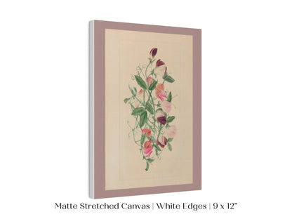 Sweet Peas | P472 - Single Art Prints - Piccolo Fiore Prints