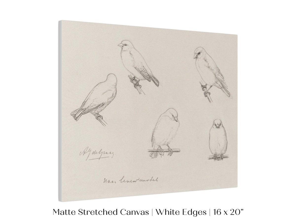 The Canaries Sketch | P151 - Single Art Prints - Piccolo Fiore Prints