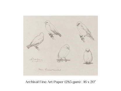 The Canaries Sketch | P151 - Single Art Prints - Piccolo Fiore Prints
