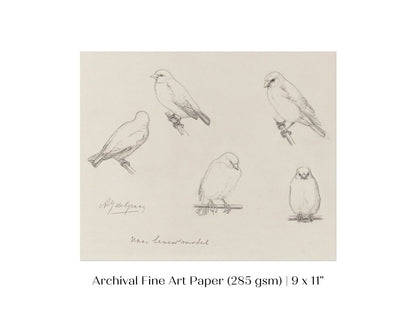 The Canaries Sketch | P151 - Single Art Prints - Piccolo Fiore Prints