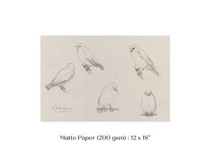 The Canaries Sketch | P151 - Single Art Prints - Piccolo Fiore Prints