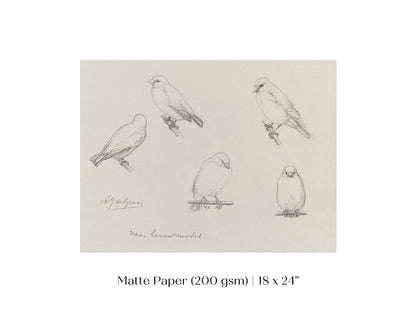 The Canaries Sketch | P151 - Single Art Prints - Piccolo Fiore Prints