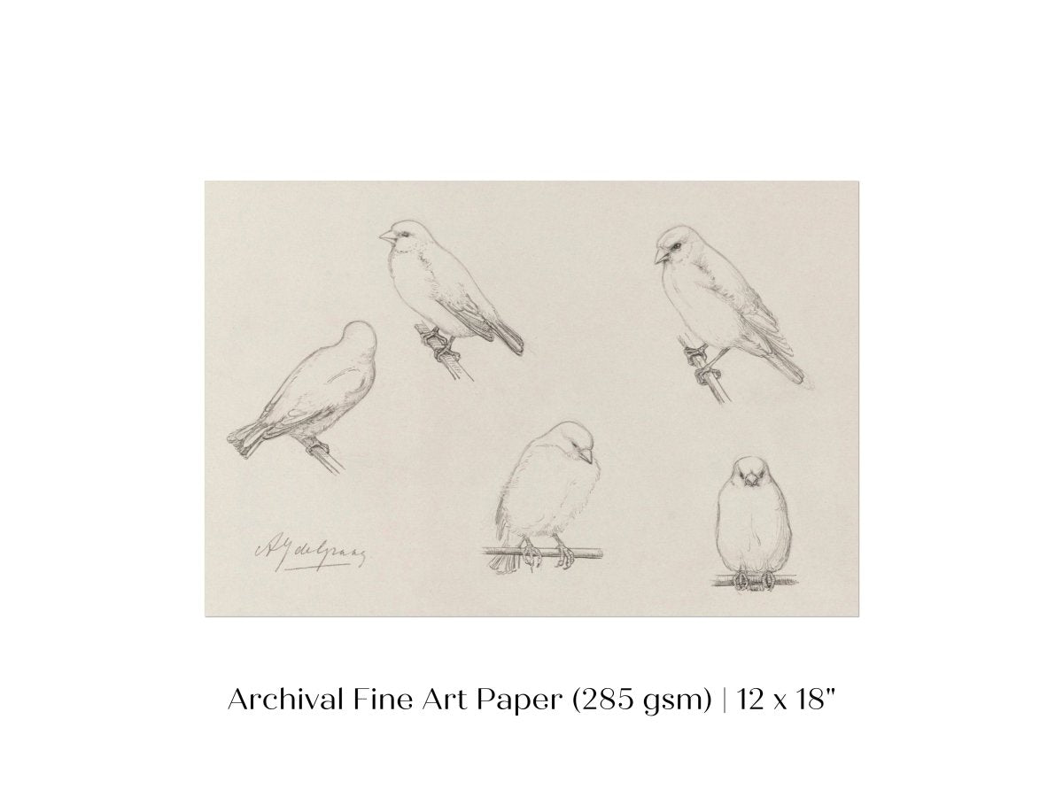 The Canaries Sketch | P151 - Single Art Prints - Piccolo Fiore Prints
