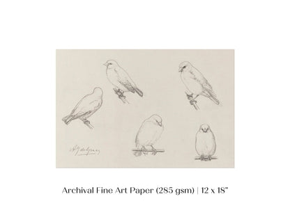 The Canaries Sketch | P151 - Single Art Prints - Piccolo Fiore Prints