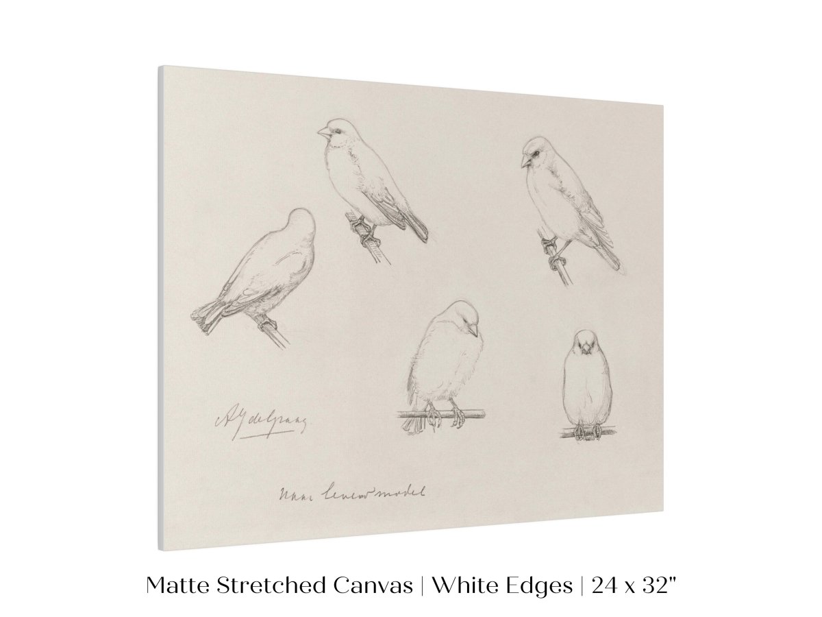 The Canaries Sketch | P151 - Single Art Prints - Piccolo Fiore Prints