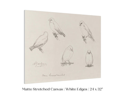 The Canaries Sketch | P151 - Single Art Prints - Piccolo Fiore Prints