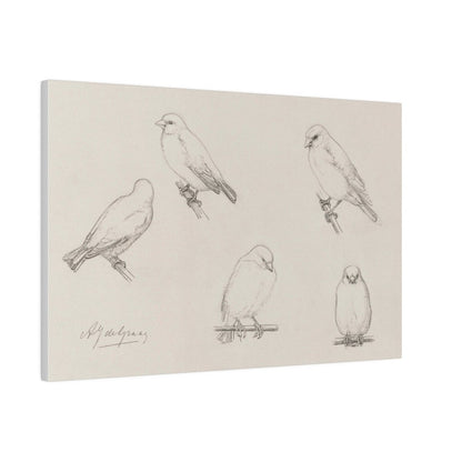 The Canaries Sketch | P151 - Single Art Prints - Piccolo Fiore Prints