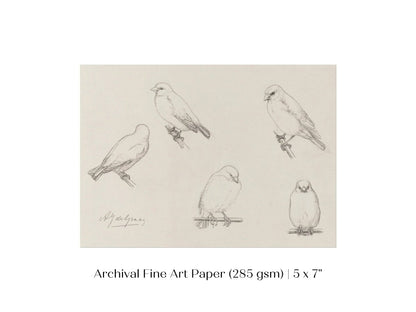 The Canaries Sketch | P151 - Single Art Prints - Piccolo Fiore Prints