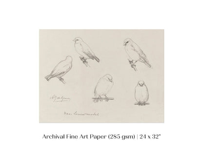 The Canaries Sketch | P151 - Single Art Prints - Piccolo Fiore Prints