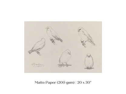 The Canaries Sketch | P151 - Single Art Prints - Piccolo Fiore Prints