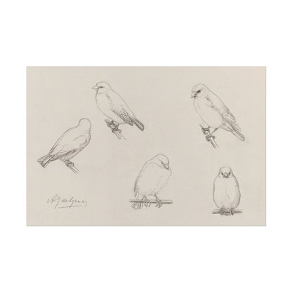 The Canaries Sketch | P151 - Single Art Prints - Piccolo Fiore Prints