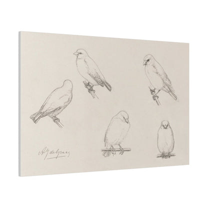 The Canaries Sketch | P151 - Single Art Prints - Piccolo Fiore Prints