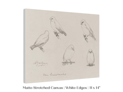 The Canaries Sketch | P151 - Single Art Prints - Piccolo Fiore Prints