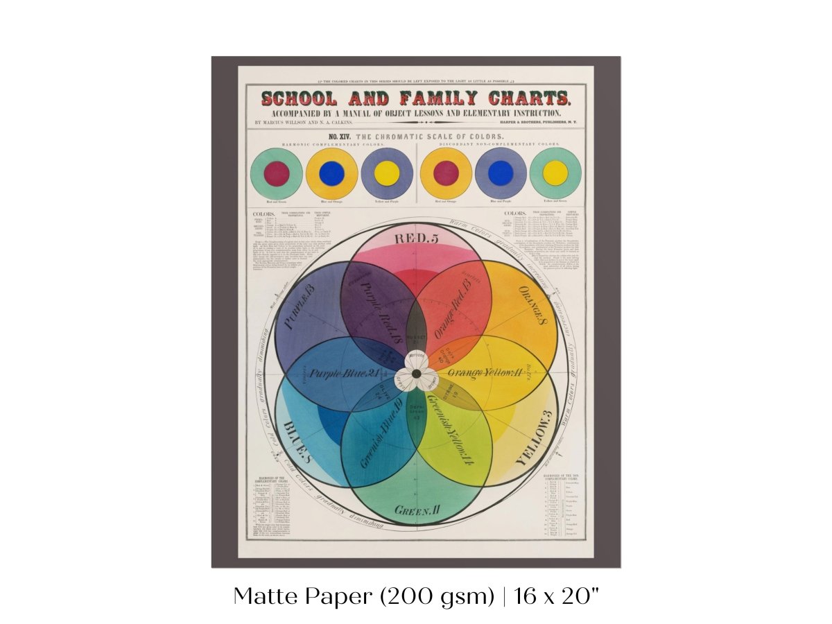 The Chromatic Scale of Colors | P697 - Single Art Prints - Piccolo Fiore Prints