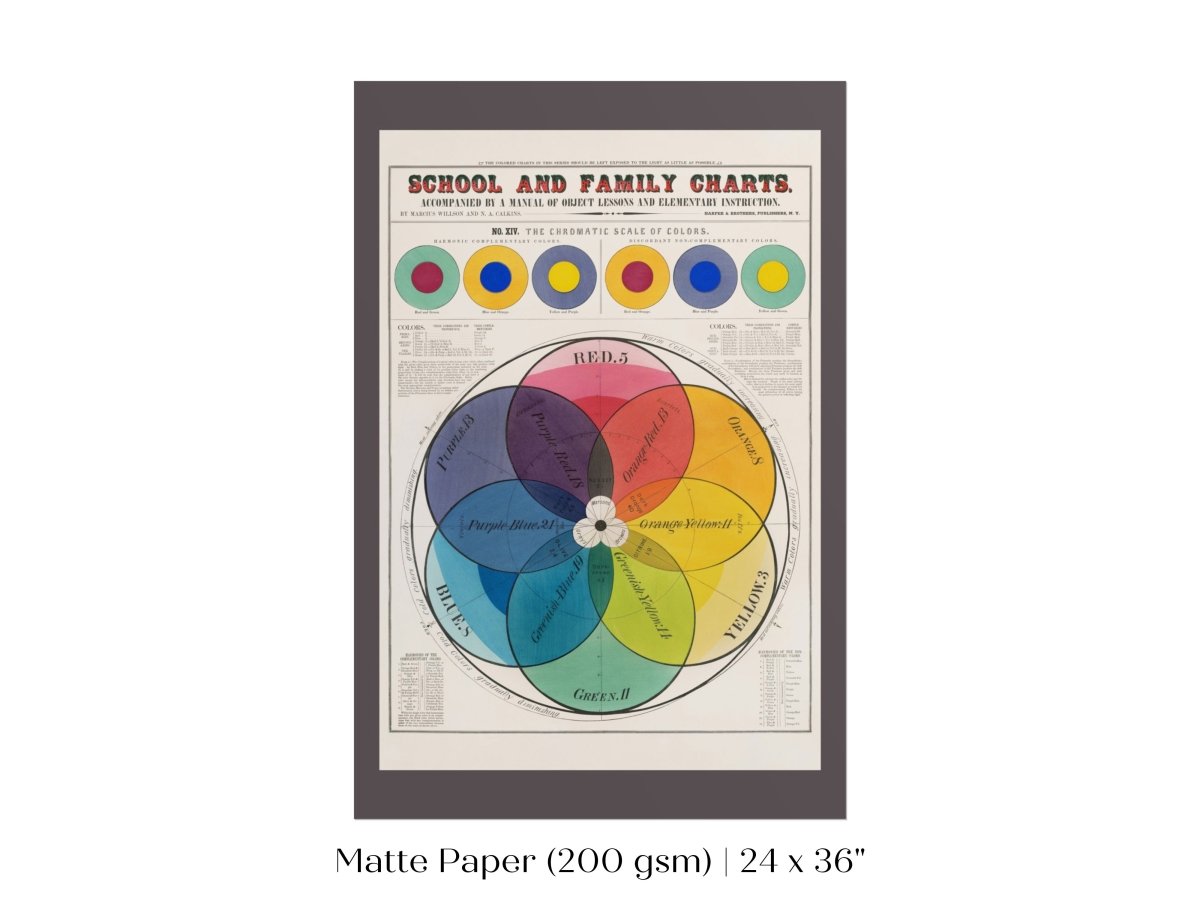 The Chromatic Scale of Colors | P697 - Single Art Prints - Piccolo Fiore Prints