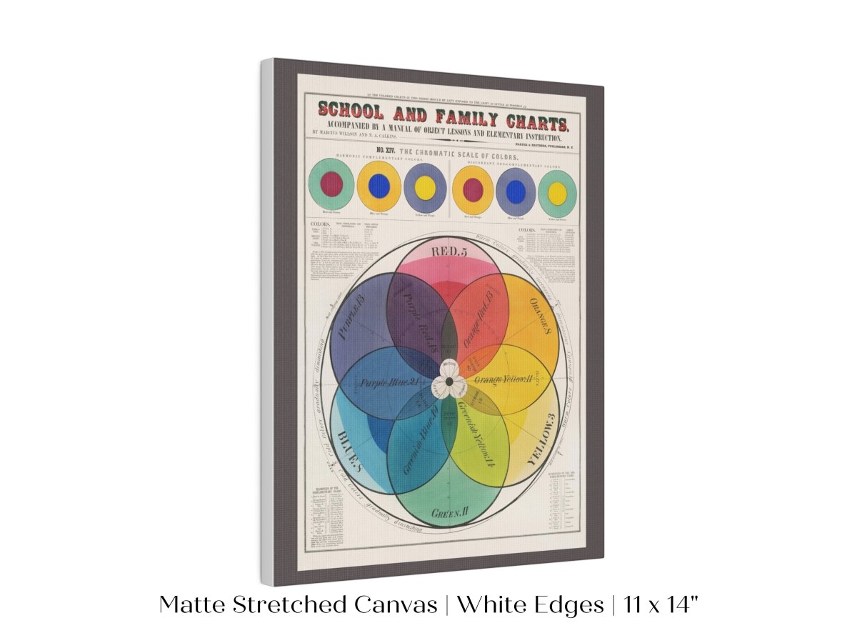 The Chromatic Scale of Colors | P697 - Single Art Prints - Piccolo Fiore Prints