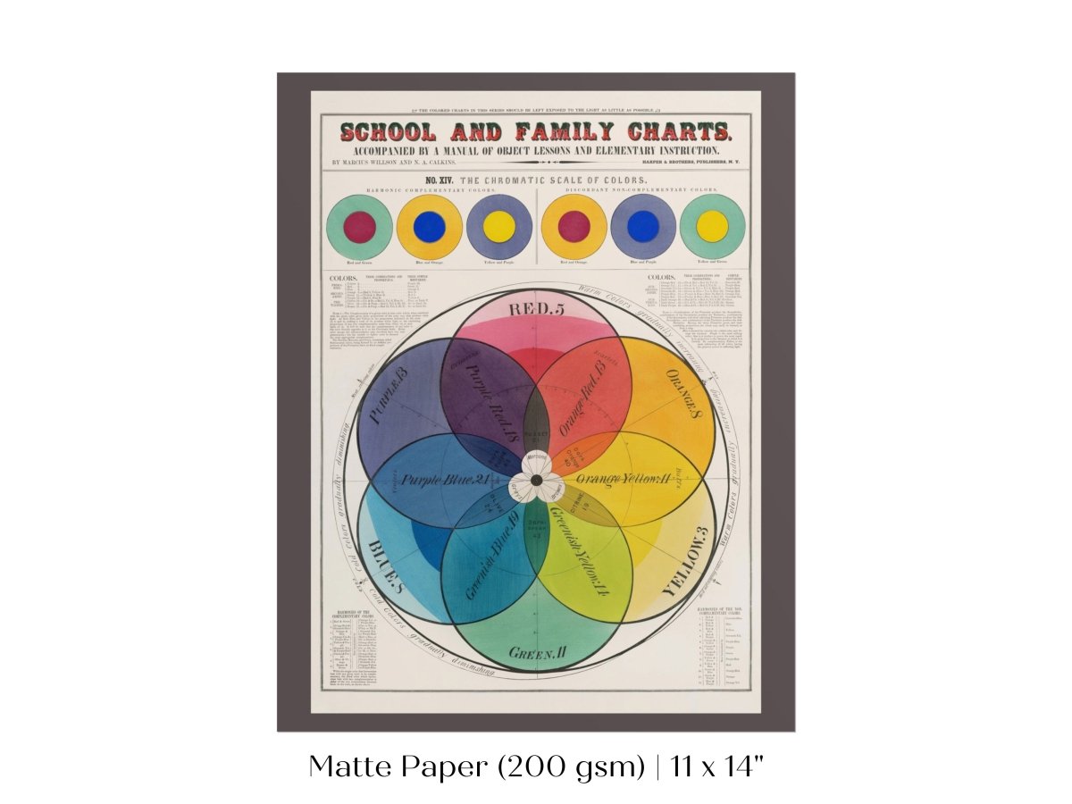 The Chromatic Scale of Colors | P697 - Single Art Prints - Piccolo Fiore Prints