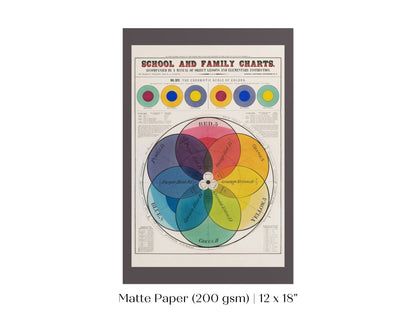The Chromatic Scale of Colors | P697 - Single Art Prints - Piccolo Fiore Prints
