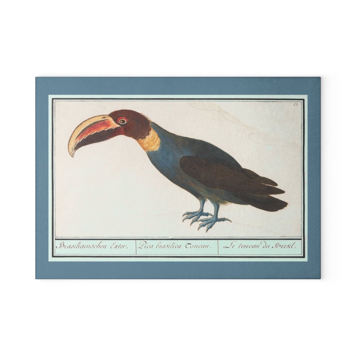 Toucan | Glass Chopping Board - Glass Chopping Board - Piccolo Fiore Prints