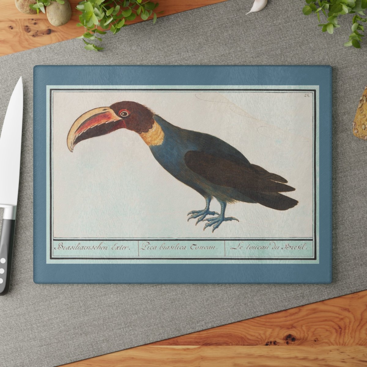 Toucan | Glass Chopping Board - Glass Chopping Board - Piccolo Fiore Prints