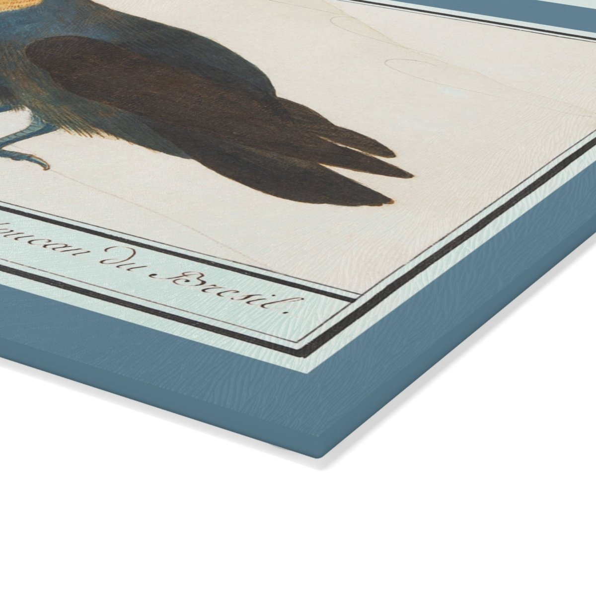 Toucan | Glass Chopping Board - Glass Chopping Board - Piccolo Fiore Prints