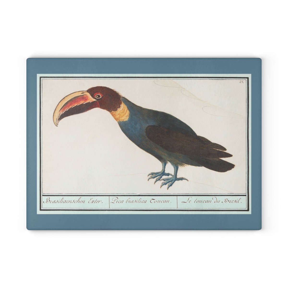 Toucan | Glass Chopping Board - Glass Chopping Board - Piccolo Fiore Prints