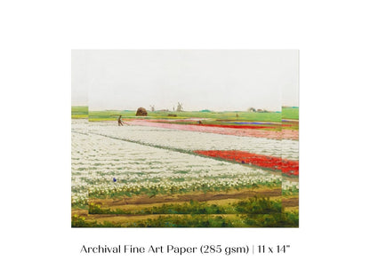 Tulip Fields | P108 - Single Art Prints - Piccolo Fiore Prints