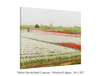 Tulip Fields | P108 - Single Art Prints - Piccolo Fiore Prints