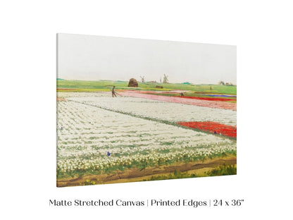 Tulip Fields | P108 - Single Art Prints - Piccolo Fiore Prints