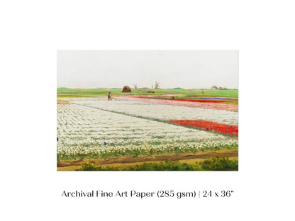 Tulip Fields | P108 - Single Art Prints - Piccolo Fiore Prints