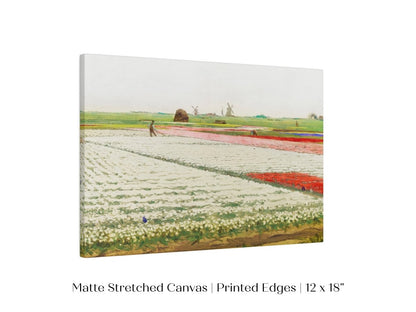 Tulip Fields | P108 - Single Art Prints - Piccolo Fiore Prints