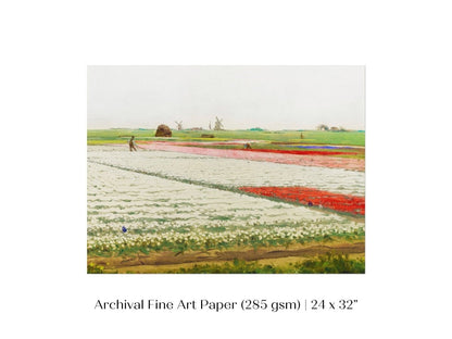 Tulip Fields | P108 - Single Art Prints - Piccolo Fiore Prints