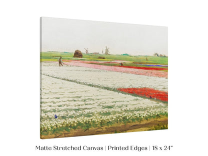 Tulip Fields | P108 - Single Art Prints - Piccolo Fiore Prints