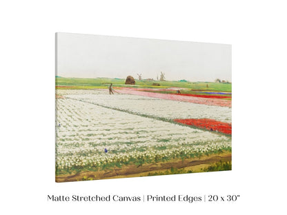 Tulip Fields | P108 - Single Art Prints - Piccolo Fiore Prints