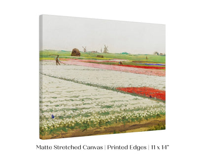 Tulip Fields | P108 - Single Art Prints - Piccolo Fiore Prints