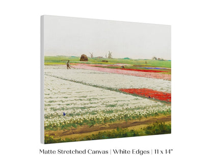 Tulip Fields | P108 - Single Art Prints - Piccolo Fiore Prints