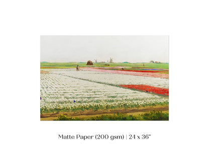 Tulip Fields | P108 - Single Art Prints - Piccolo Fiore Prints