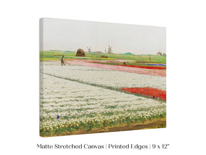 Tulip Fields | P108 - Single Art Prints - Piccolo Fiore Prints