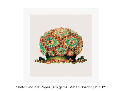 Tunicate II | P308 - Single Square Art Prints - Piccolo Fiore Prints