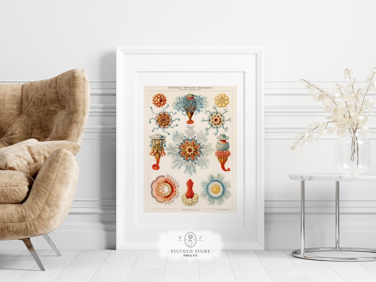 Turquoise Coastal | Gallery Wall Set | 9 Prints | S9 - 1 - Gallery Wall Set - Piccolo Fiore Prints
