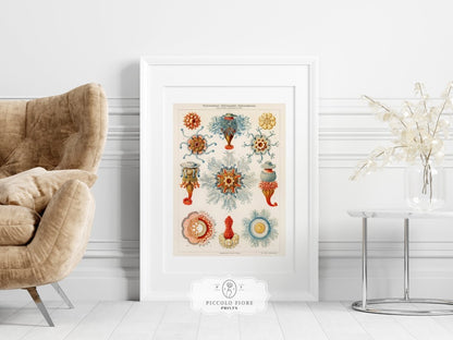Turquoise Coastal | Gallery Wall Set | 9 Prints | S9 - 1 - Gallery Wall Set - Piccolo Fiore Prints