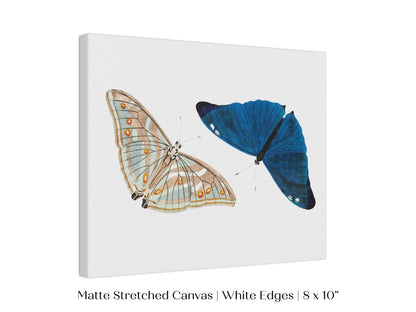 Two Butterflies | P90 - Single Art Prints - Piccolo Fiore Prints